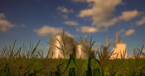 Grain Storage Time Lapse Stock-Footage 131404533