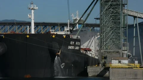 Grain Terminal MCU of ship at dock loading grain for Asia Stock Footage 53049164