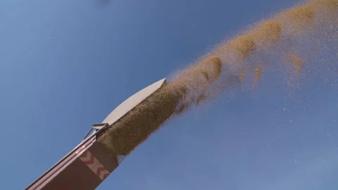 Grain Transfer Machine Stock Footage 158562260