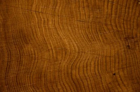 Grain of a tree trunk Stock Photos