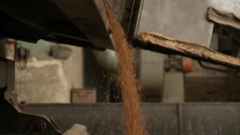 Grain truck unloading. Stock Footage 81448481