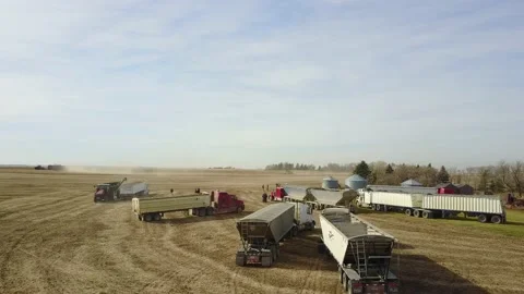 Grain Trucks Drone Shot Video stock 155306804