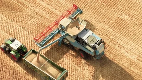 Grain unloading from combine harvester into tractor trailer during wheat harvest Stock Footage 341333619