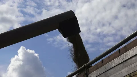 Grain Unloading during a cloudy and sunny day. Stock Footage 239476446