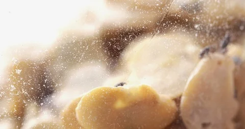 Grain Weevil bugs spread in jar with dry beans, close-up Stock Footage 108667905