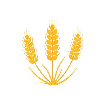 Grain, wheat icon. Vector illustration on white isolated background Stock Illustration