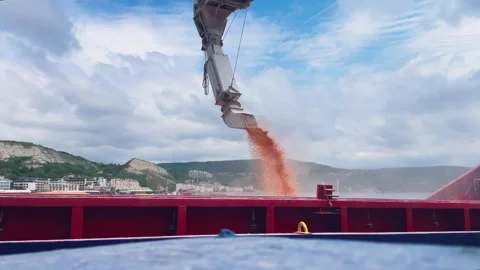 Grain wheat loading to bulker ship cargo hold with grain elevator in port Stock Footage 274987449