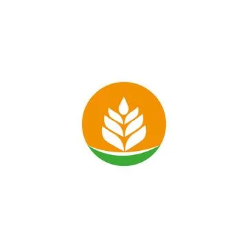Grain Wheat Logo Concept sign icon symbol Design. Stock-Illustration