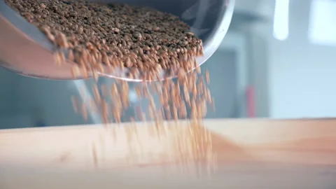 Grain of wheat or rye is poured into the mill. Stock Footage 146691673