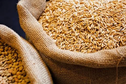 Grain of wheat Foto stock gratuite