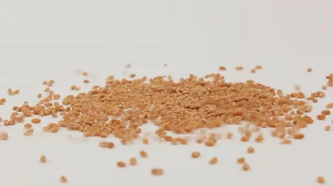 The grain of wheat . White background Stock Footage 61821866