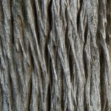 Grain wood texture for pattern and background Stock Photos