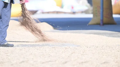 Grain work, China Video stock 347332081