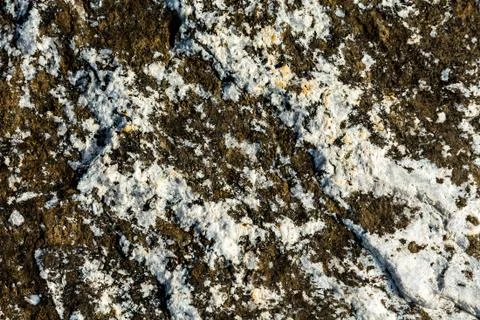 Grained limestone rough material, grunge texture Stock Photos