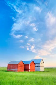 Graineries, southern Saskatchewan, Canada Stock Photos
