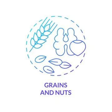 Grains and nuts blue gradient concept icon Illustrazione stock