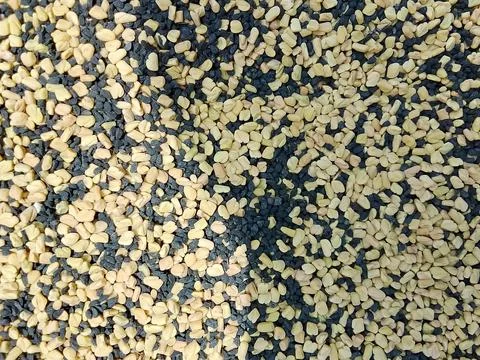Grains and seeds texture pattern with scattered background agriculture Stock Photos