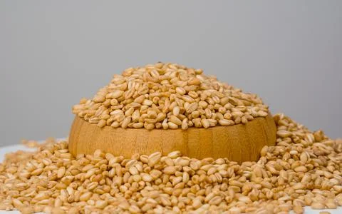 Grains in a bowl.  Grain kernel on white background.   Copy spac Stock Photos