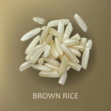 Grains of brown rice Illustrazione stock