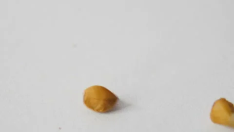 Grains of buckwheat, macro Stock Footage 88990197