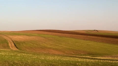 Grains of cereal seven grains rye wheat barley oats spelt millet agriculture in Stock Footage 338317905