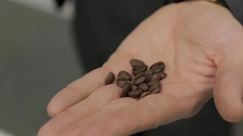 Grains of Coffee on the Hand Stock Footage 74087216