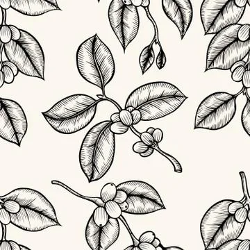 Grains of coffee Stockillustratie