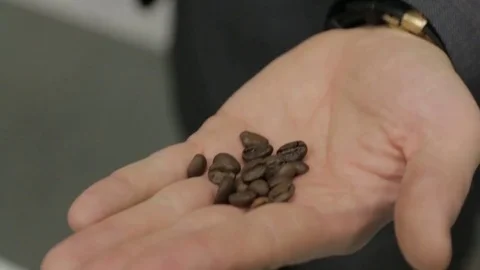 Grains of Coffee on the Palm Stock Footage 74087223