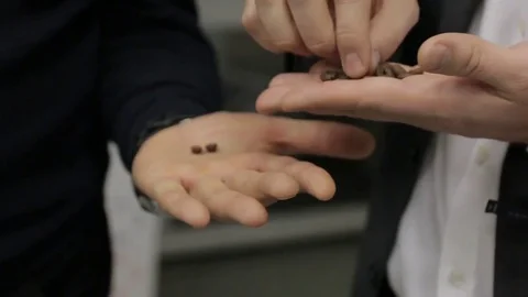Grains of Coffee on the Palms Stock Footage 74087241