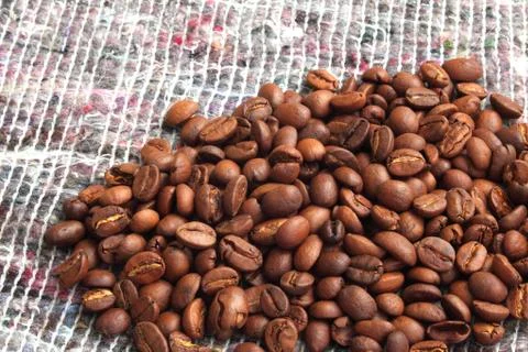 Grains of coffee Stock Photos