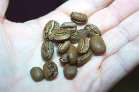 Grains of coffee Stock Photos