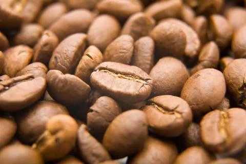Grains of coffee Stock Photos