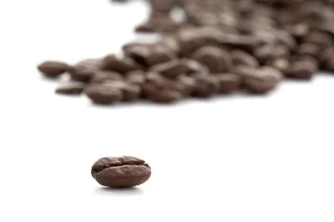 Grains of coffee scattering Stock Photos