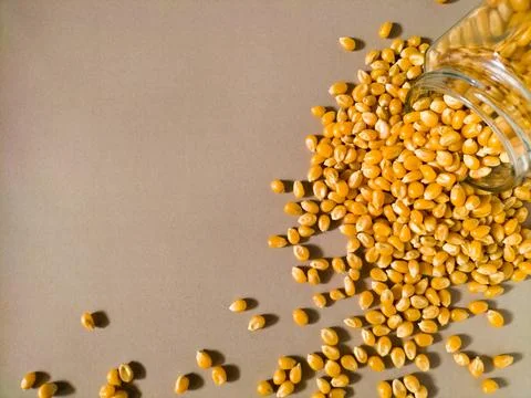 Grains of corn on brown background Stock Photos