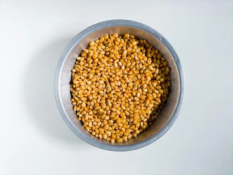 Grains of corn on white background Stock Photos