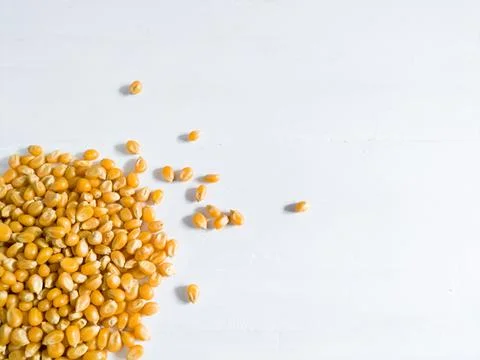 Grains of corn on white background Stock Photos
