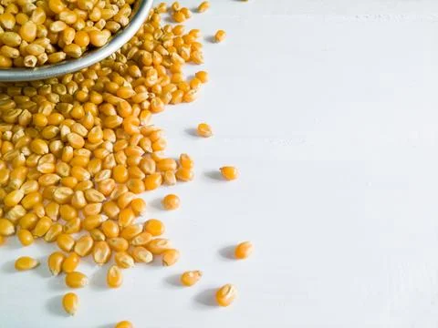 Grains of corn on white background Stock Photos