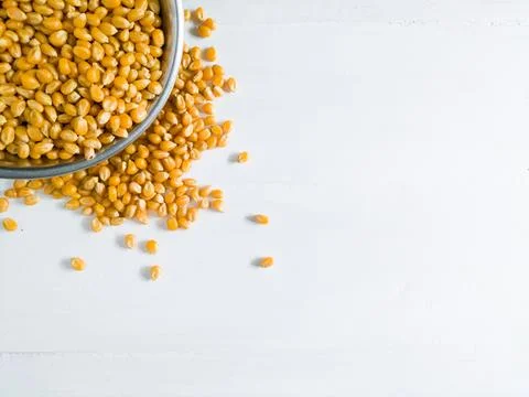 Grains of corn on white background Stock Photos
