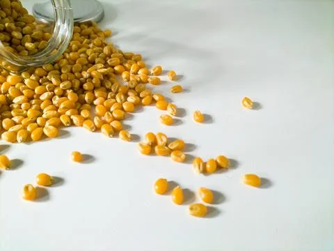 Grains of corn on white background Stock Photos