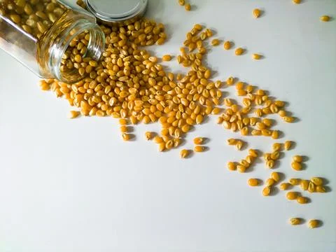 Grains of corn on white background Stock Photos