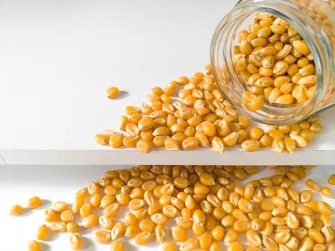 Grains of corn on white background Foto stock