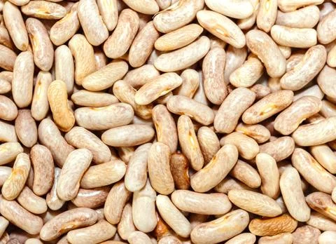Grains of dry beans Stock Photos