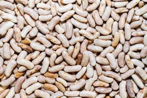 Grains of dry beans Stock Photos