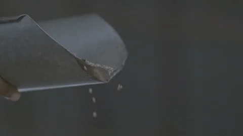 Grains Falling Video stock 112397738