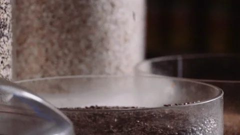 Grains falling in slow motion Video stock 128017761