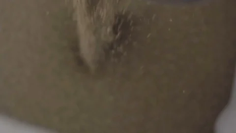 Grains falling to white container, farming, harvesting Stock Footage 116102773