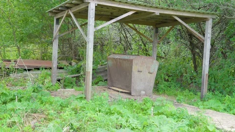 The grains on the ground from the wild boar feeder Stock Footage 95501973