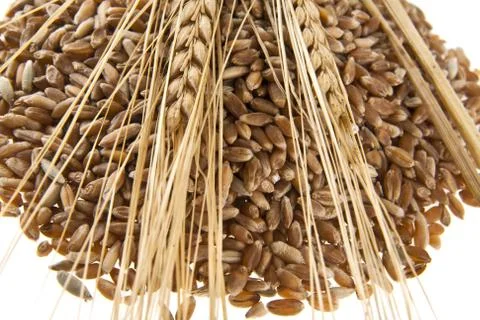 Grains isolated on white background Stock Photos