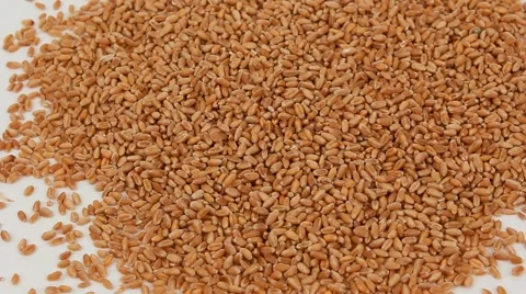 The grains in male hands Video stock 61821907