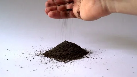 Grains of oats in the ground Stock-Footage 73631769